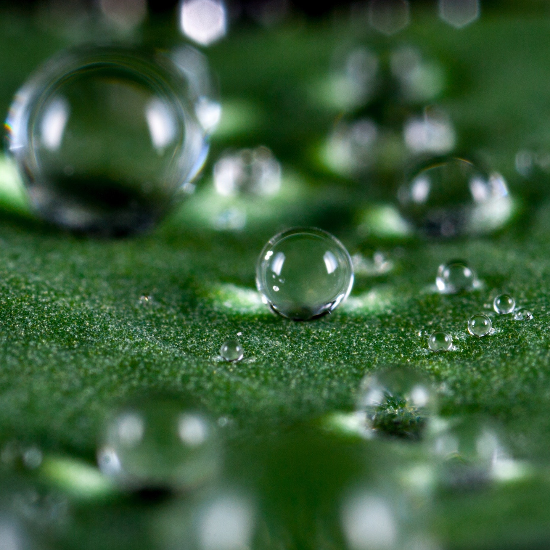 PTFE for water-repellent and breathable textiles